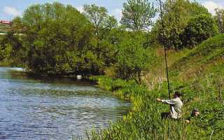 Ловля густеры на течении