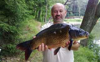 Рыбалка с проживанием в Подмосковье