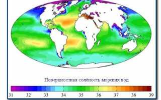Мировом океане самая соленая вода