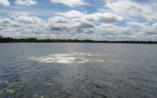 Рыбалка в Одинцовском районе