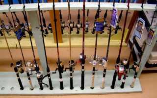 Рыбалка на судака в октябре