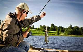 Рыбалка в Краснодаре и Краснодарском крае