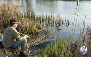 На что ловить карася весной?