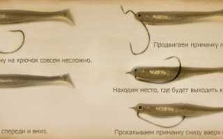 Лучшие съедобные резиновые и силиконовые приманки