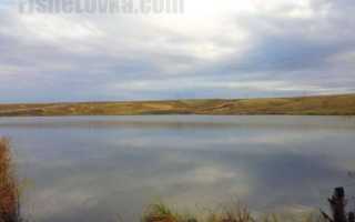 Ловля щуки на поппер. особенности и секреты рыбалки