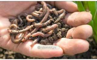 Простая оснастка поплавочной удочки для ловли форели