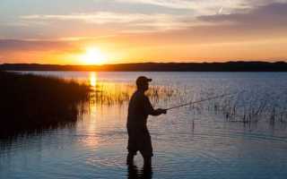 Ловля карася и карпа весной