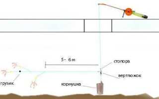 Спускник на леща зимой (комбайн) – оснастка и процесс ловли