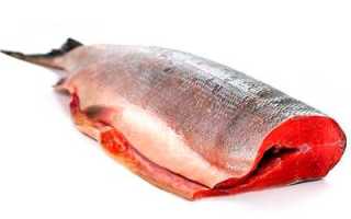 Форель горячего копчения. Как коптить форель в домашних условиях