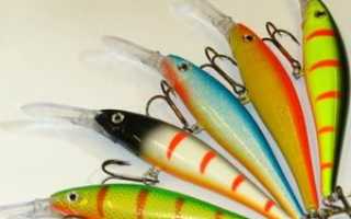 Какие бывают воблеры на судака и как выбрать?