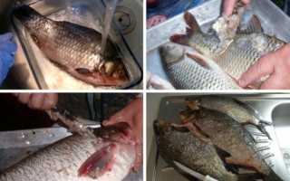 Как быстро почистить карася