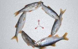 Ловля зимой на поплавок и подготовка снасти