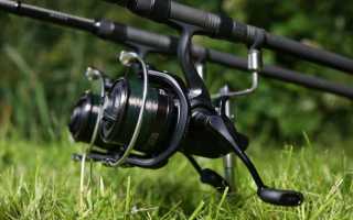 Как выбрать карповую катушку и настроить