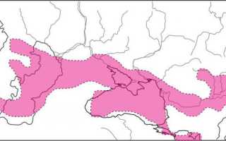 Размер черного моря ширина длина