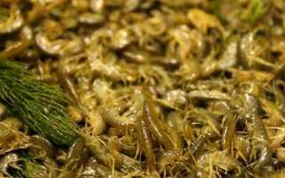 Чем прикормить окуня зимой