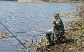 Как ловить плотву на поплавочную удочку