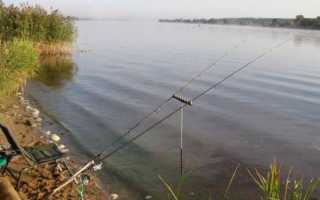 Ночная ловля леща на донки