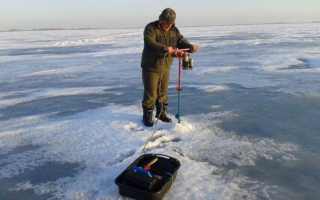 Где и какую рыбу ловить со льда. Советы начинающим рыболовам.
