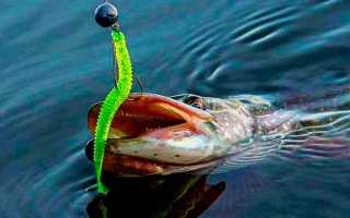 Как ловить щуку на живца – выбор приманки, техника и особенности ловли