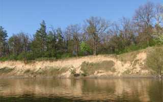 Как ловить раков ночью с фонариком: правила, снаряжение и рекомендации