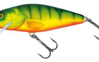 Ловля сома для начинающих рыбаков сомятников