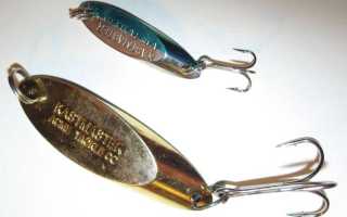 Ловля Жереха Весной. 5 Лучших Мест. Снасти и Приманки | Видео