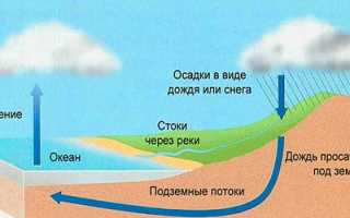 В какую погоду отправляться на рыбалку