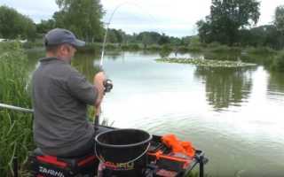 Ловля линя весной на поплавочную удочку: снасть, наживка, прикорм