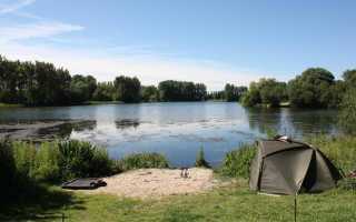 Ловля карпа