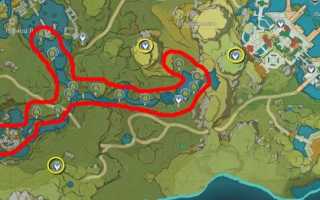 Как ловить щуку на лягушку и подобрать правильно снасти