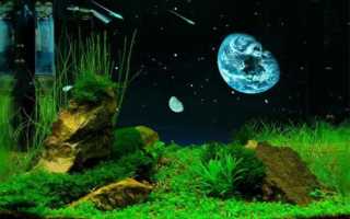 Как приклеить фон-пленку на заднюю стенку аквариума