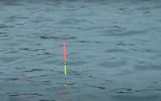 Как ловить карася на поплавочную удочку