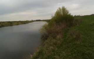 Весенняя ловля леща на поплавочную удочку в марте, апреле, мае