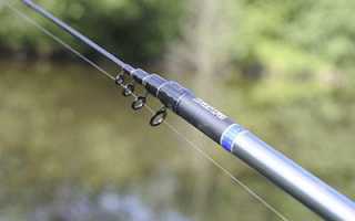 Сравнение маховой удочки и болонской снастью с катушкой