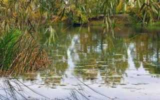 Рыбалка в Ярославской области: лучшие места на карте ТОП-7