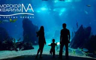 Самые большие и необычные аквариумы в мире. ТОП-10