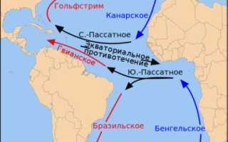 Теплые течения атлантического океана 7 класс