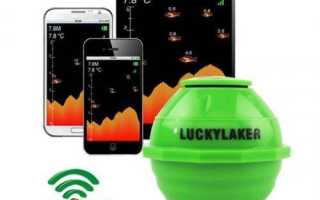 Как выбрать эхолот для телефона: лучшие модели, отзывы рыбаков