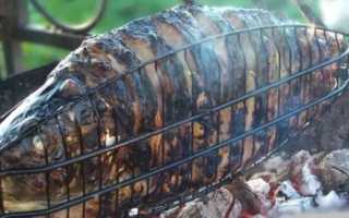 Карп в фольге на углях: рецепт приготовления с фото