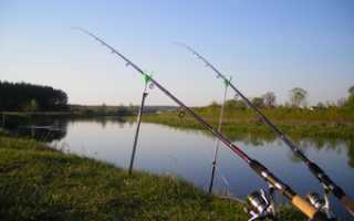 Что такое английская донка?