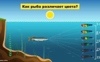 Важен ли цвет приманки или как вода поглощает свет?