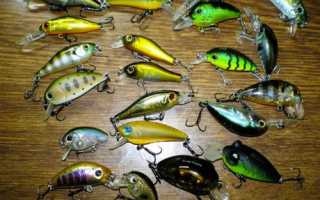 Ловля голавля на воблеры