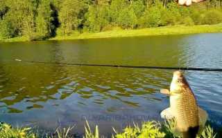 Ловля на пикер