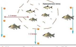 Ловля на фидер весной