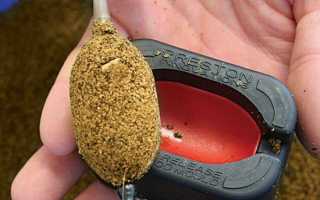 Техника ловли карпа на соску и изготовление оснастки