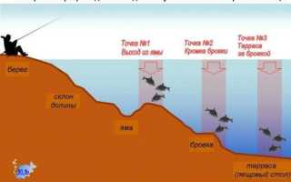 Ловля леща на фидер в канале