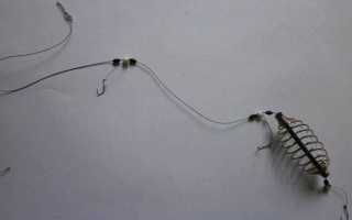 Донка на карпа