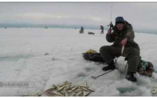 Зимний фидер