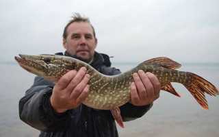 Рыбалка в Белгородской области – важные особенности