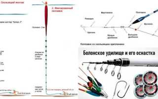 Особенности оснастки болонской удочки для ловли на течении